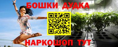 скорость Дубна
