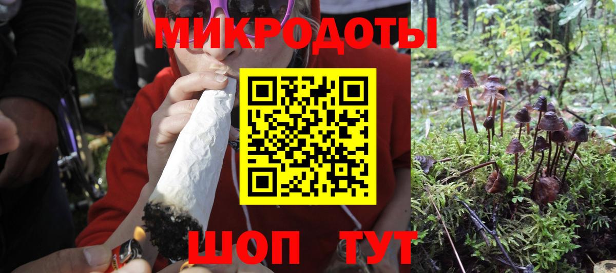 Псилоцибиновые грибы Cubensis Москва